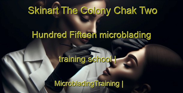 Skinart The Colony Chak Two Hundred Fifteen microblading training school | MicrobladingTraining | MicrobladingClasses | SkinartTraining-Pakistan